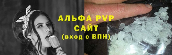 индика Беломорск