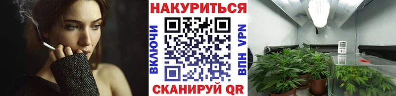 Шишки марихуана Ganja  Курильск 